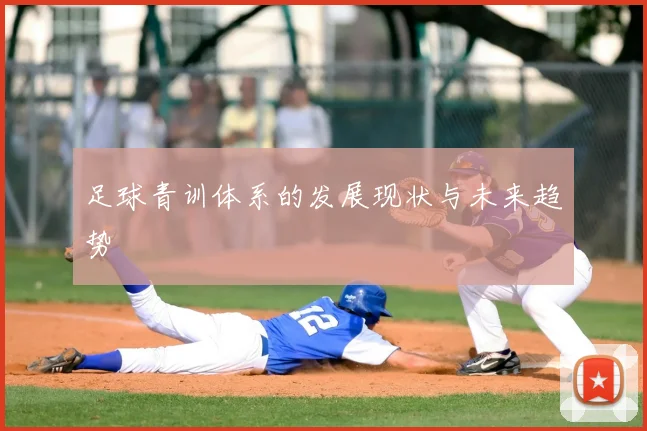 足球青训体系的发展现状与未来趋势